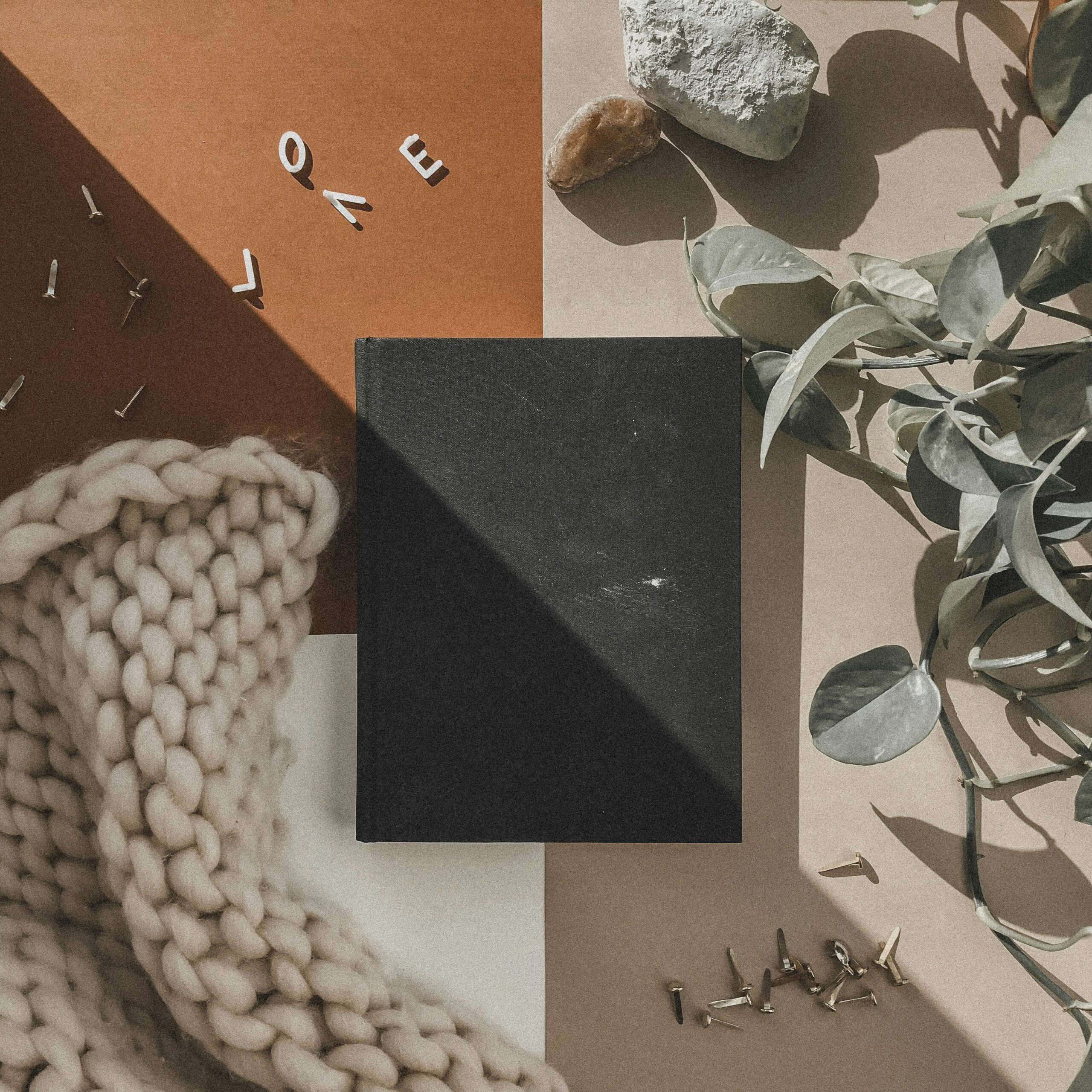 ashley lewis 8oflzlesdum unsplash